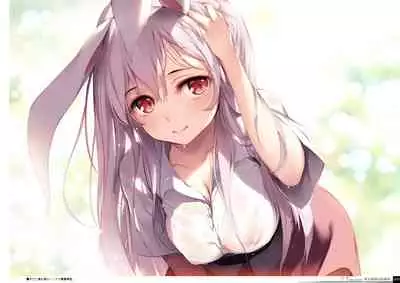 Yoru no Kiseki