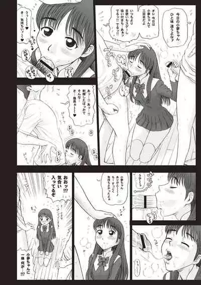 Shiritsu Risshin Gakuen -Seishori Iin to, Sono Oshigoto.