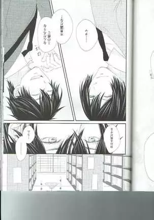 Petals Falling on Rippling Waters