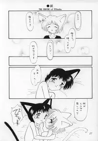 (C51) [Nekomimi Sorcery (Masamineko)] Ebaneko (Neon Genesis Evangelion)