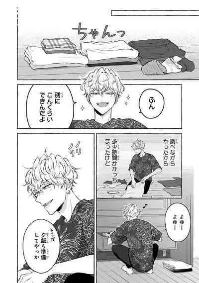 Kirai na Yatsu to Kuttsuku Mahou ni Kakaru Hanashi