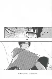 (SPARK8) [6109 (Kirishiki Tokico)] Live and let live. (Shingeki no Kyojin)