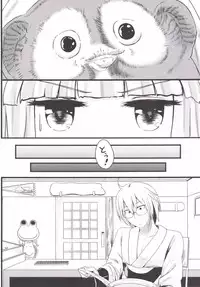 (Shuuki Reitaisai 2) [FSS (Shena Excel)] Aphrodisiac Pickled Homunculus (Touhou Project)