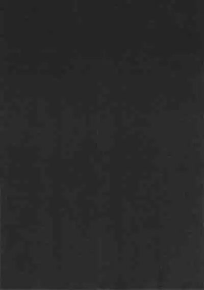 Nin gyo no uwasa no nin gyo