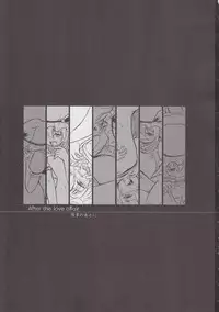 (C79) [Avion Village F (Fechi)] After The Love Affair (Touhou Project)