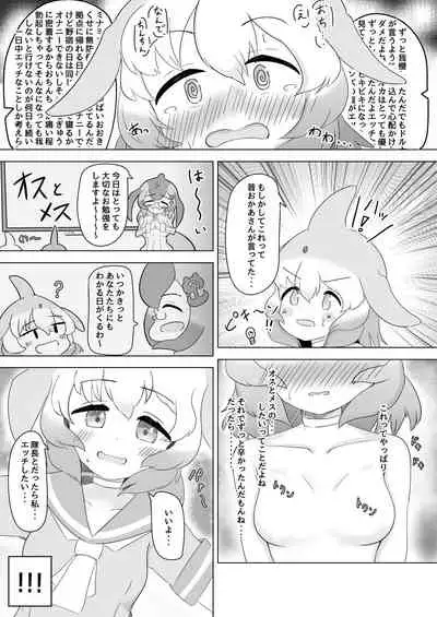 バンドウイルカとあそぼ