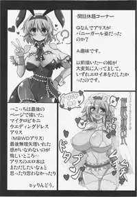 (Reitaisai 12) [Ato Nana Fun (Roki, Rindou)] Alice to Sex! (Touhou Project)