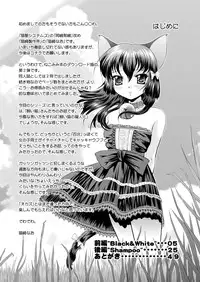 [猫崎製作所] ねこのあな2+3