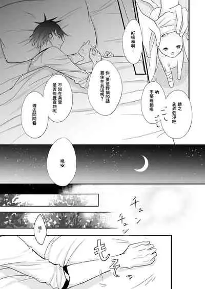 Hatsujou