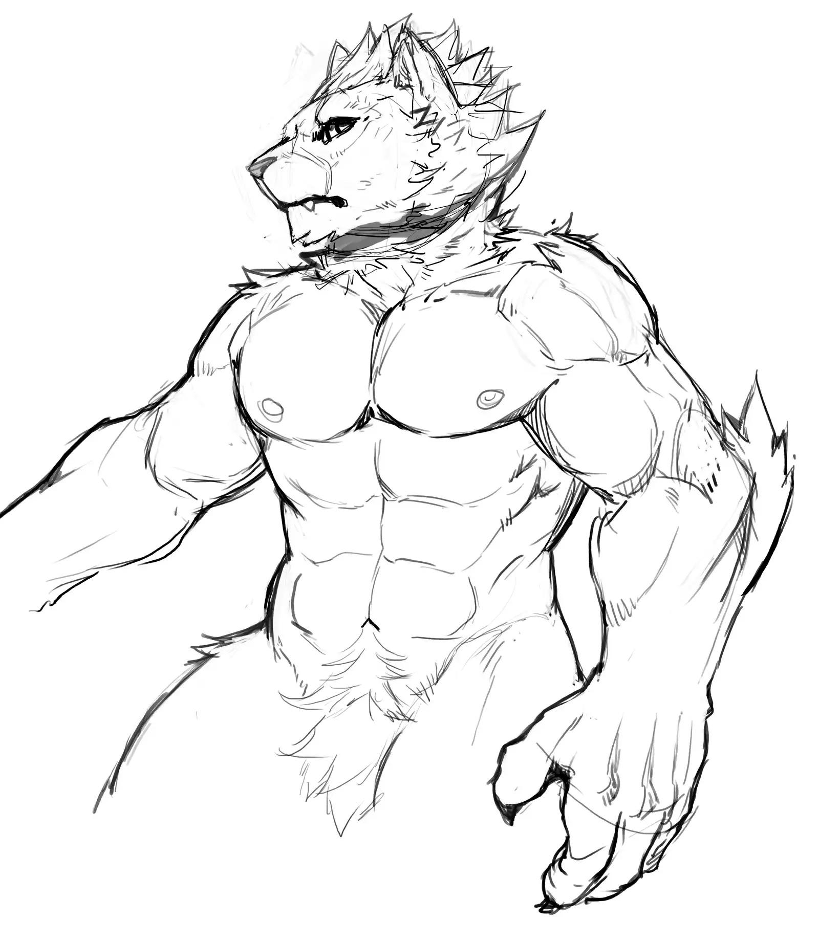 Nekojishi February 2018 Package Reward + Extras