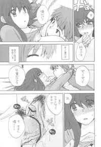 (C78) [TRIP SPIDER (niwacho)] Crime and affection (Fate/stay night)