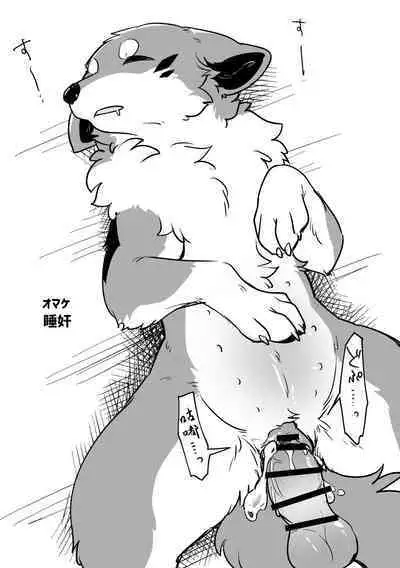 Ohanami Anaba Spot | 秘密景点