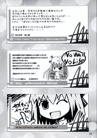 (C75) [Narumiya (Various)] All About AAA (Touhou Project)