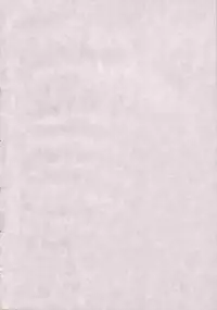 (C71) [GUST (Gust-san)] Iro-8 (Mahou Sensei Negima!) [English] [CGRascal]