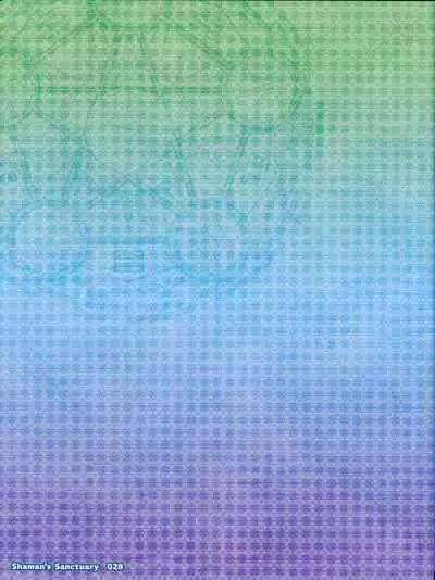 Shaman's Sanctuary -Miko no Seiiki- Booklet Manual