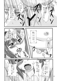 [Endless Requiem] 主従反転 (Touhou)