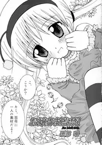 (C68) [Aberyu (Abe Ryuu)] Ojou-sama Kankin! (Hayate no Gotoku!)