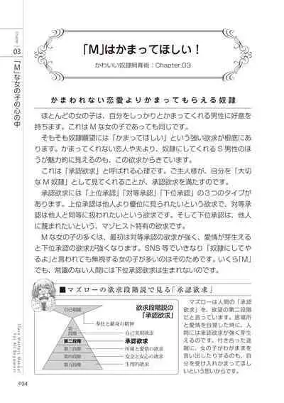 Zero kara Hajimeru SM Manual Kawaii Dorei Shiikujutsu