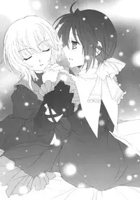 (C80) [Pyonpyororin (Akoko.)] partner (Seikon no Qwaser) [English] {CGrascal}