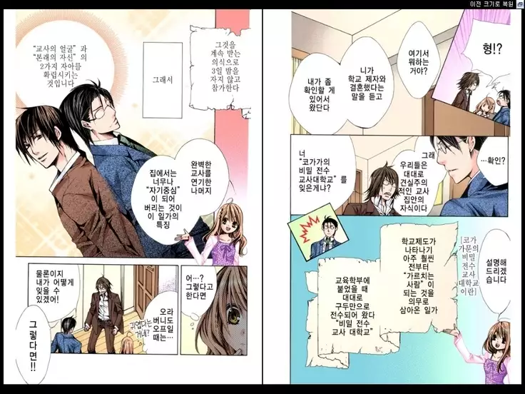 Naisho no Love Mariage | 비밀의 결혼