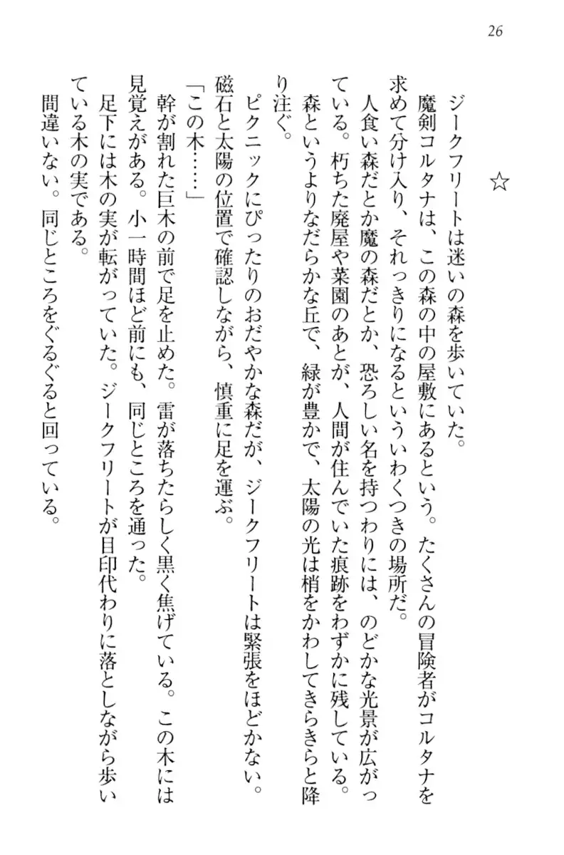 魔剣の魔メイドと魔の祝福