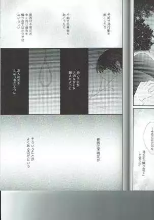 Petals Falling on Rippling Waters