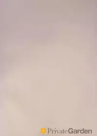 (C93) [Private Garden (Tsurusaki Takahiro)] Illustrious Shabaora (Azur Lane) [Chinese] [花火汉化组]