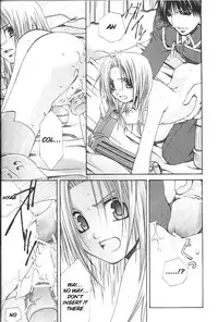 (SUPER14) [VALIANT (Shijima Kiri)] Manual Input (Fullmetal Alchemist) [English] [watisit]