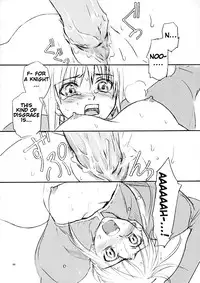 (SC24) [Badon (Kida, Kine)] Inheritor (Fate/stay night) [English]