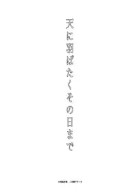 (C90) [RIX (Mamiya)] Ten ni Habataita Sono Ato mo (Shingeki no Kyojin)