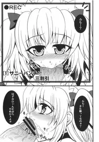 (C77) [Reborn (Various)] Ijou Keiken +2 (Touhou Project)