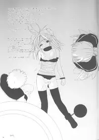 [Digital Lover (Nakajima Yuka)] Rough Sketch 13 (Ragnarok Online)