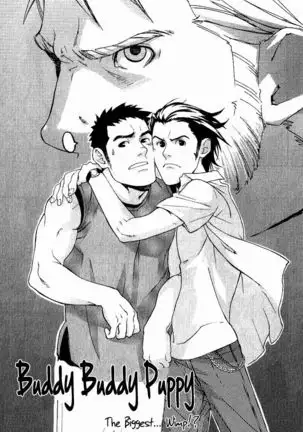 Buddy Buddy Puppy