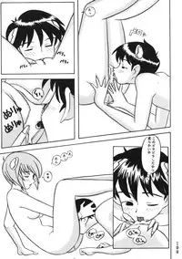 (C50) [Moriman Shouten (Various)] Katze 14 (Neon Genesis Evangelion)