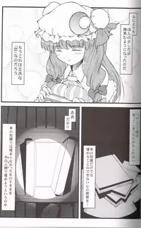 (C74) [LeimkissA (Nekohane Ryou)] Shiki Sei Hou Ren (Touhou Project)