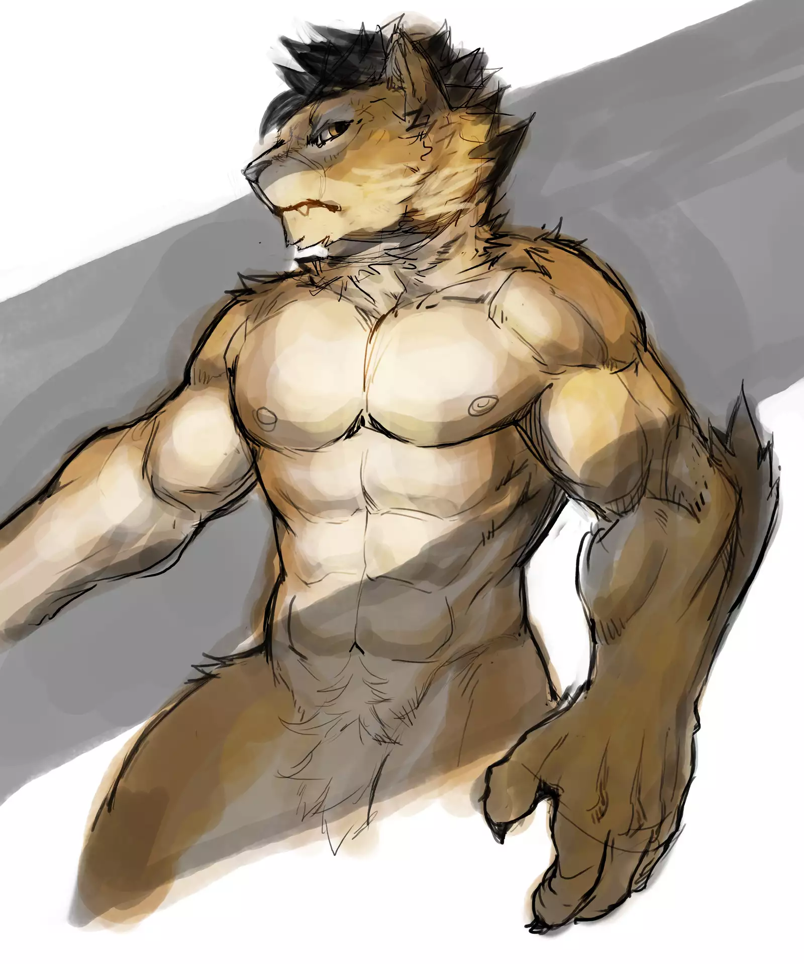 Nekojishi February 2018 Package Reward + Extras