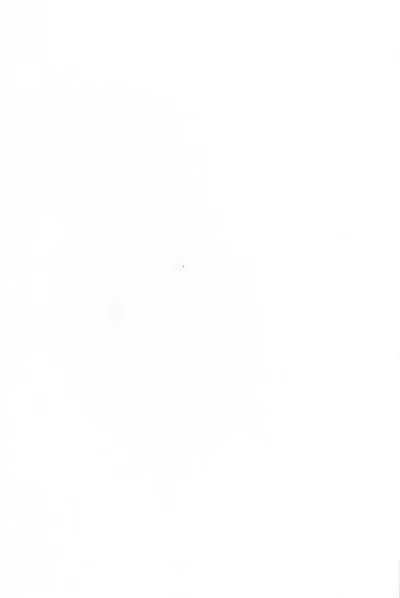 (C99) [Yamitsuki Honpo (Wise Speak)] Ryousai Oneshota Tamamo-chan (Fate/EXTRA) [Chinese] [转尾巴猫汉化]