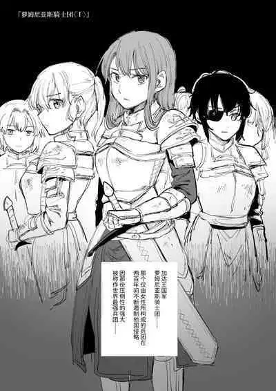 萝姆尼亚斯騎士団