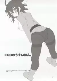 (CT29) [Nekomarudow (Tadima Yoshikadu)] FGO no Usui Hon. (Fate/Grand Order)