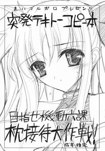 (COMIC1) [Akai Marlboro (Aka Marl)] Toppatsu Tekitou Copybon Mezase Kidou Rokka Makura Settai Daisakusen! (Mahou Shoujo Lyrical Nanoha [Magical Girl Lyrical Nanoha])