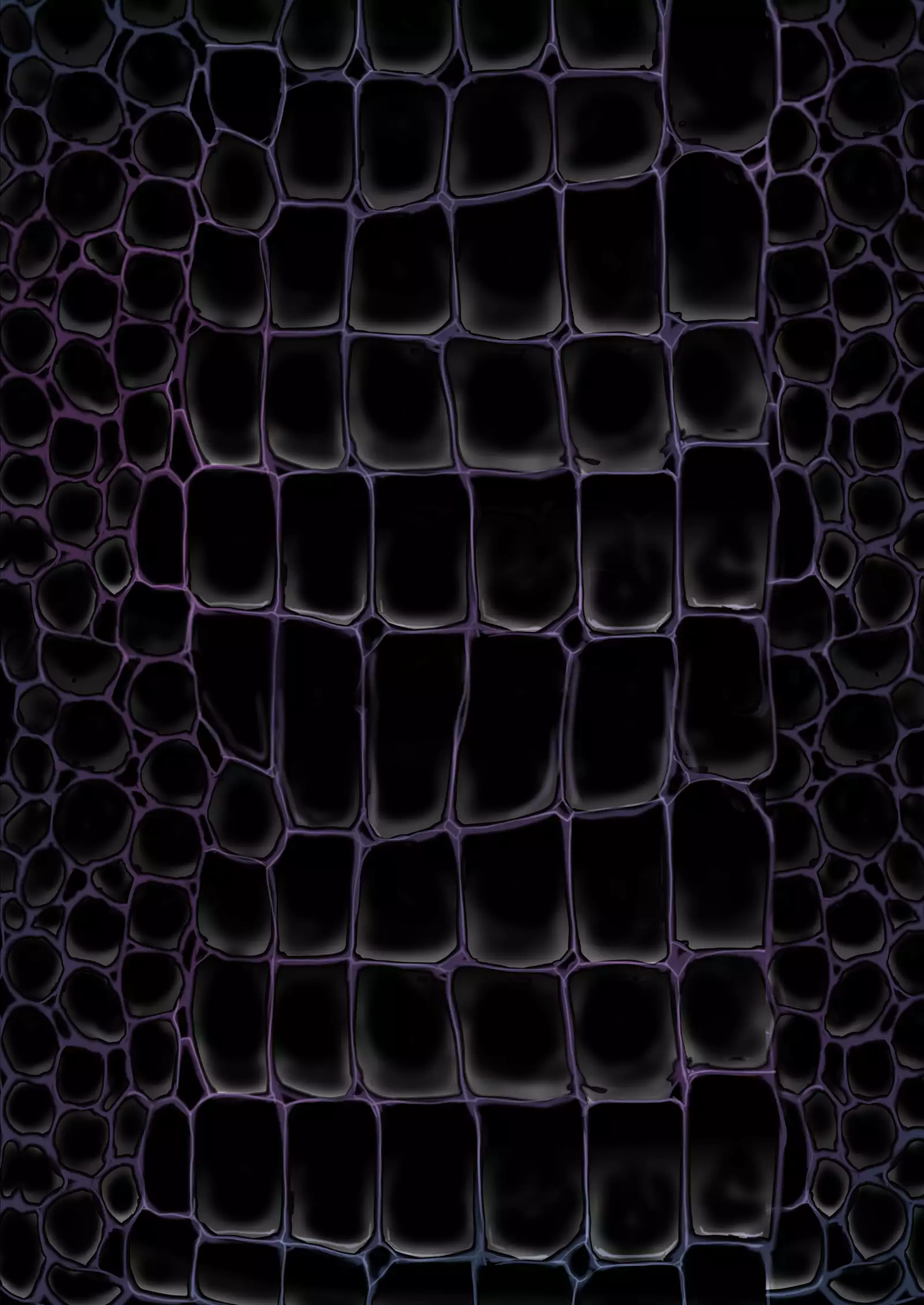 Q.E:R.M - Queen Elizabeth Royal Maintenance