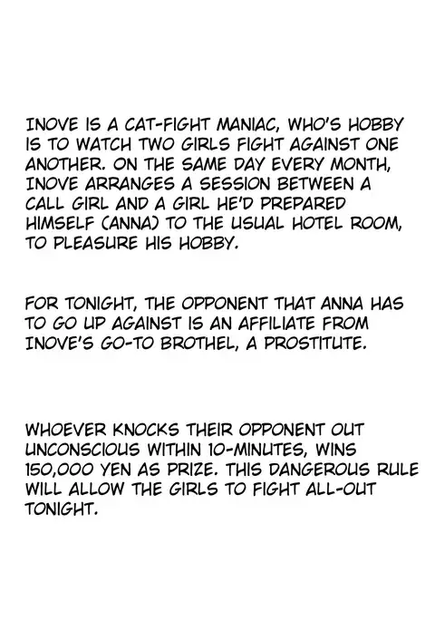 Realistic Account of a Mixed Fight Report