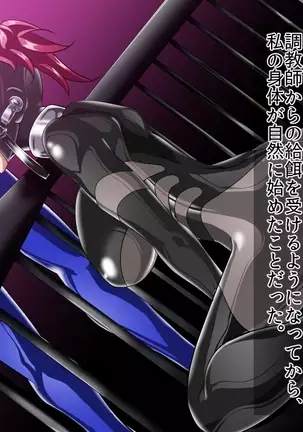 ドミギュラス・レポート