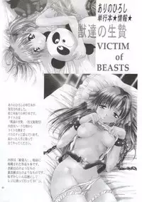 (CR28) [Studio BIG-X (Arino Hiroshi)] SHADOW CANVAS 11 (AIR)