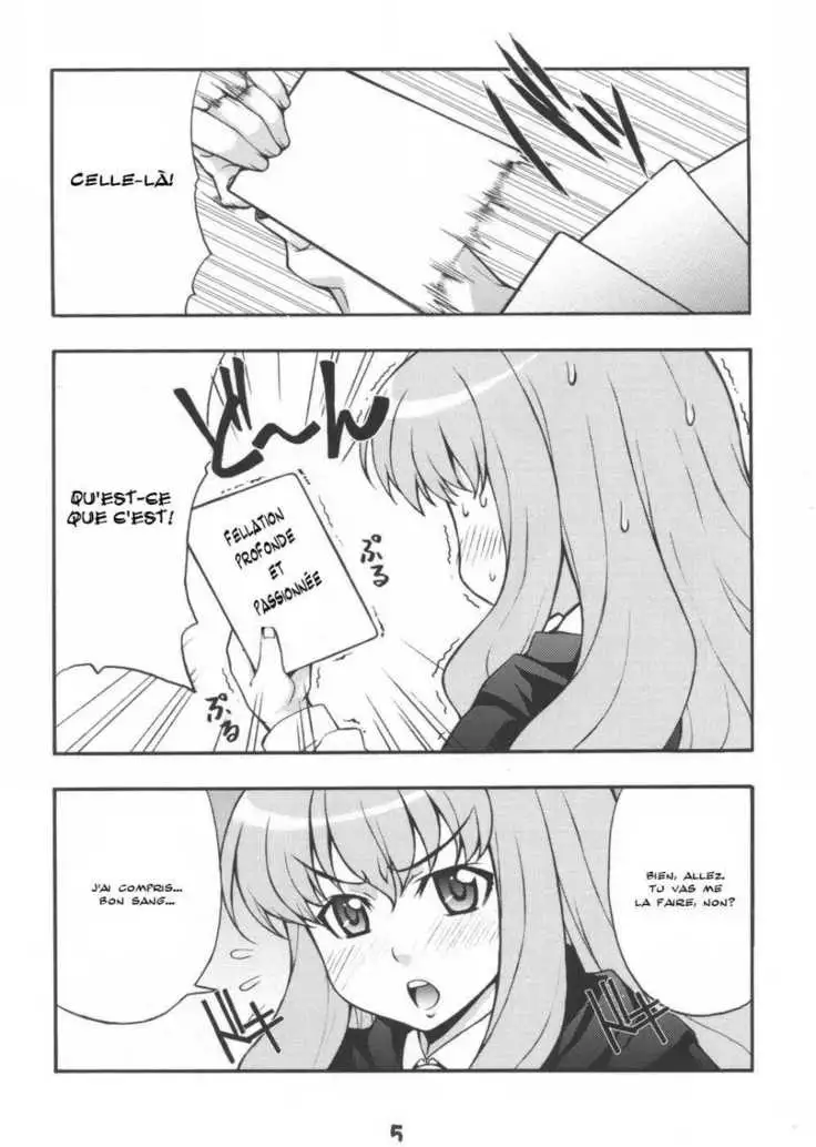 Zero No Tsukaima - Ruizumu