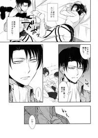 (C90) [RIX (Mamiya)] Ten ni Habataita Sono Ato mo (Shingeki no Kyojin)
