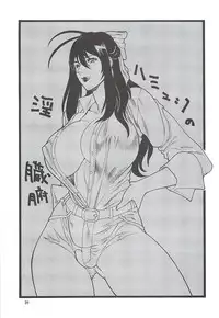 (C78) [Rippadou (Inugai Shin)] Goriman 5 (Various)