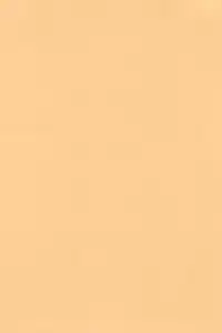 (C52) [P.A.Project (Various)] Totteoki no Mahou (10 Carat Torte!)